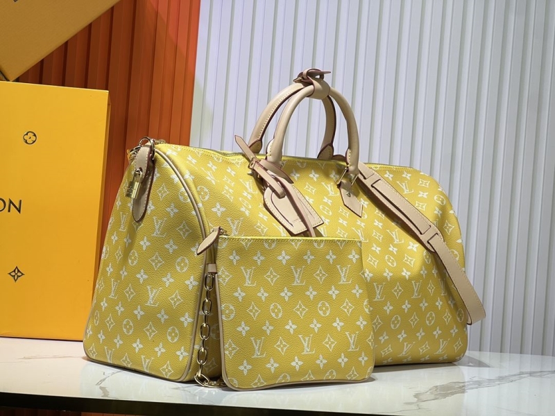 LV Travel Bags